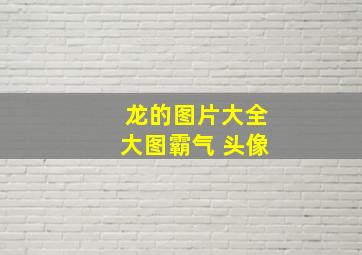 龙的图片大全大图霸气 头像